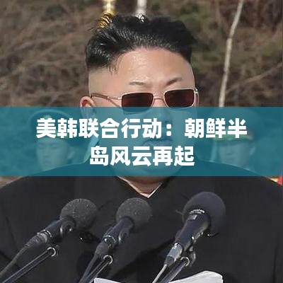 公司简介 第424页