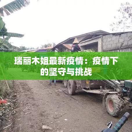 公司简介 第398页