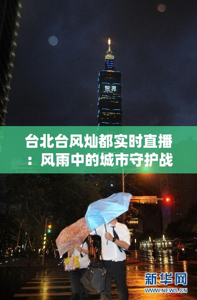 云龙井蛙 第3页