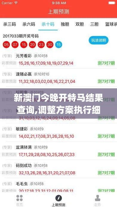新澳门今晚开特马结果查询,调整方案执行细节_工具版2.462