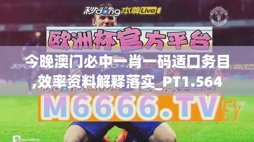 今晚澳门必中一肖一码适囗务目,效率资料解释落实_PT1.564