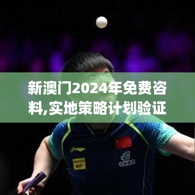 新澳门2024年免费咨料,实地策略计划验证_专家版10.382
