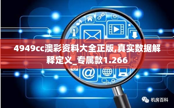 4949cc澳彩资料大全正版,真实数据解释定义_专属款1.266