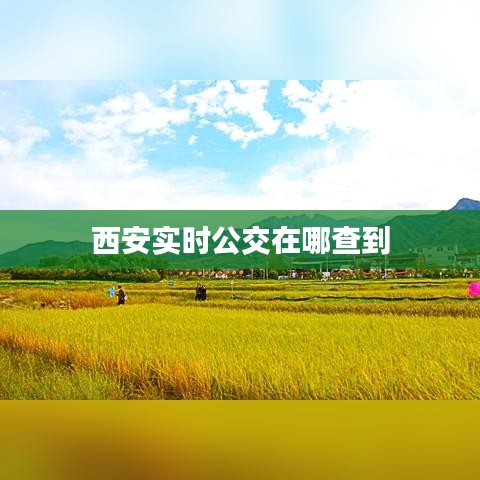 插翅难飞 第2页