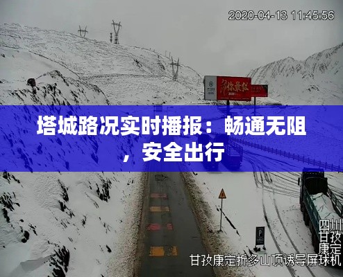 公司简介 第270页
