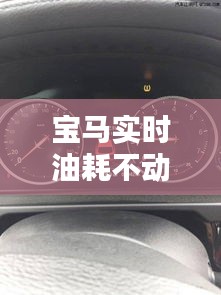 公司简介 第267页