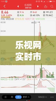 公司简介 第266页