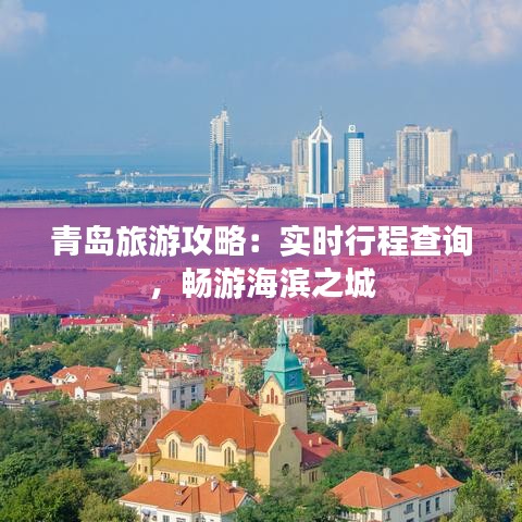 公司简介 第256页