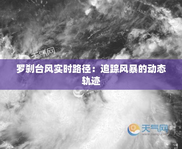 公司简介 第249页