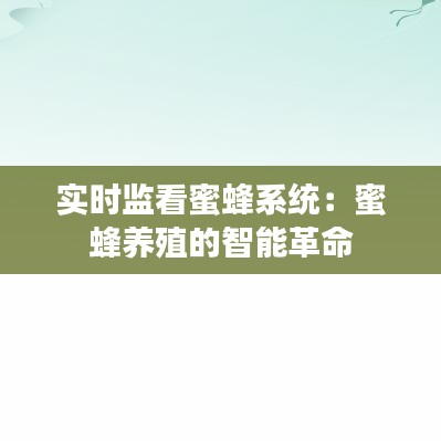 公司简介 第242页