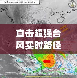 公司简介 第241页
