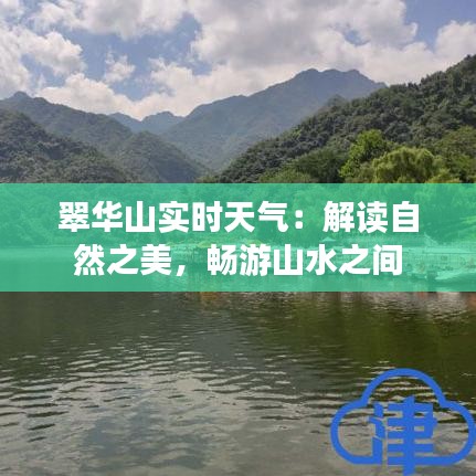鸟骇鼠窜 第3页
