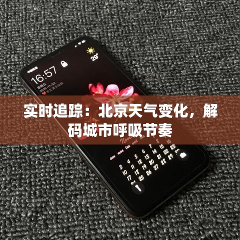 如鸟兽散 第3页