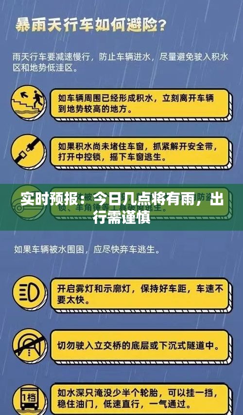 公司简介 第215页