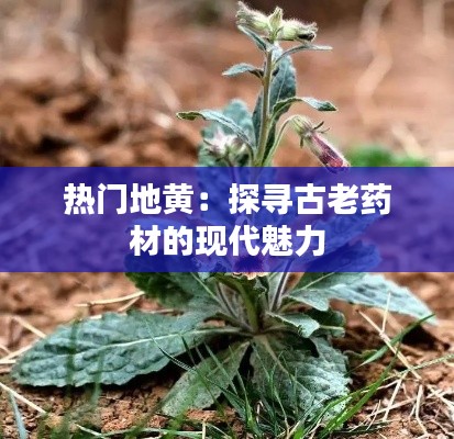 富贵逼人来 第2页