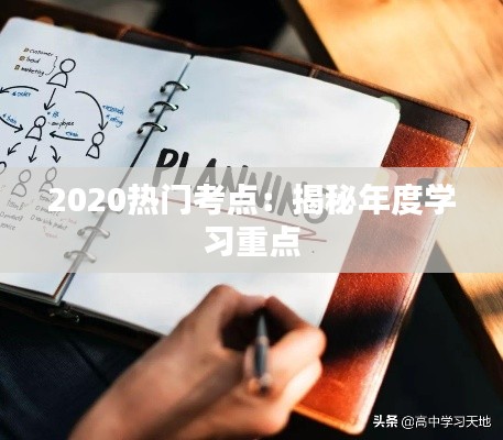 见缝就钻 第2页