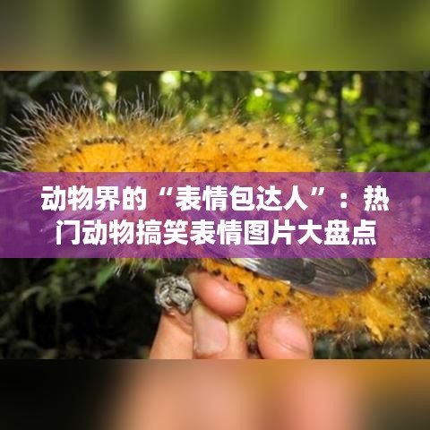 贵极人臣 第2页