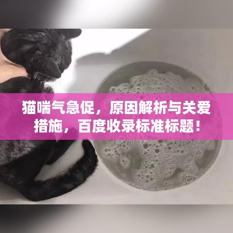 一张一翕