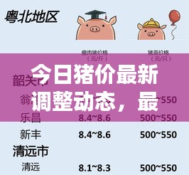 雍容雅步