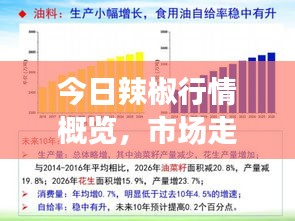 今日辣椒行情概览，市场走势、种植现状与未来展望