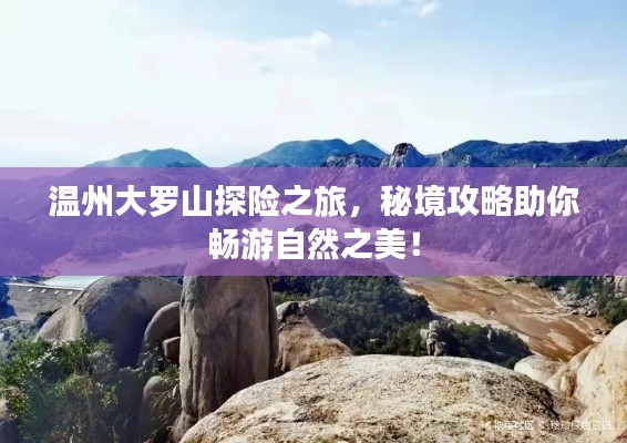 真独简贵