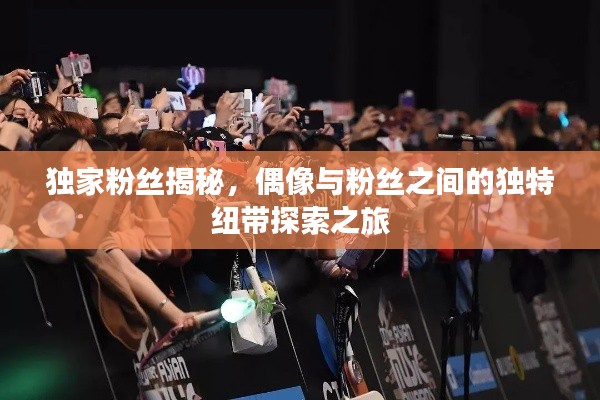 屦贱踊贵