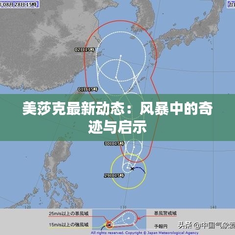 公司新闻 第139页