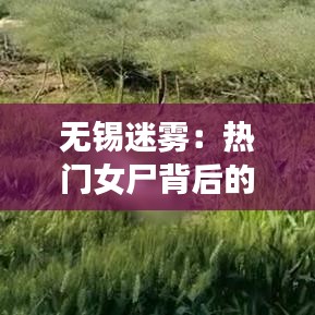 推襟送抱 第3页