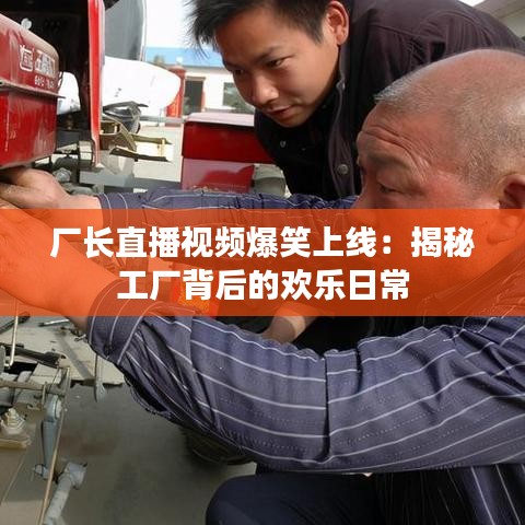 工程案例 第135页