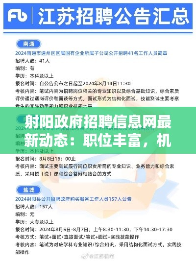 射阳政府招聘信息网最新动态：职位丰富，机遇无限