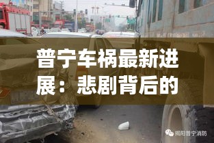 射飞逐走 第3页