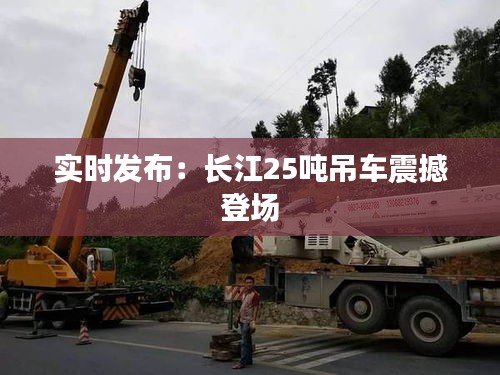 一花独放 第3页