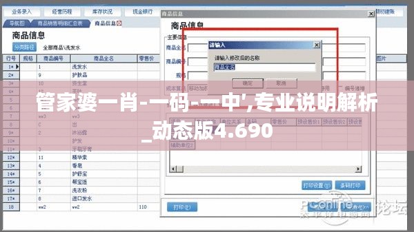 管家婆一肖-一码-一中′,专业说明解析_动态版4.690