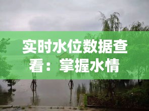 实时水位数据查看：掌握水情动态，保障安全出行