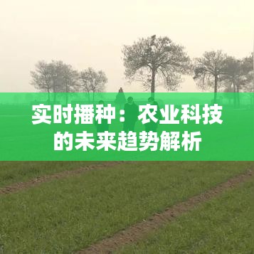 打马虎眼 第3页