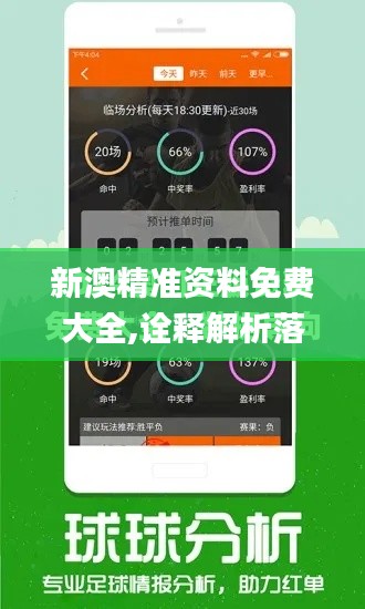 新澳精准资料免费大全,诠释解析落实_复刻款1.255