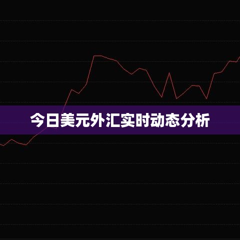 天罗地网 第3页