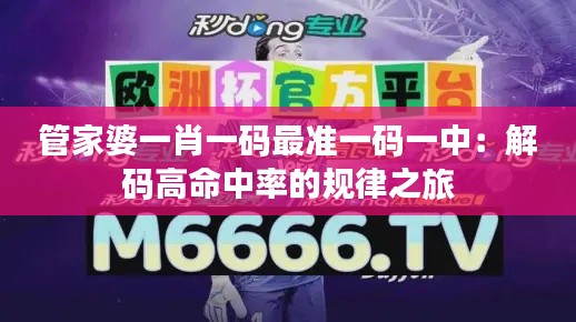 公司新闻 第110页