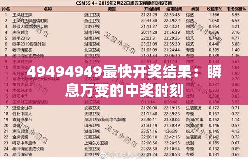 公司简介 第321页