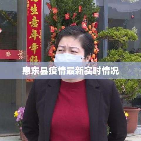 笨鸟先飞 第3页