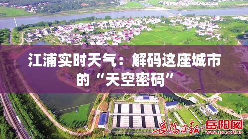 破马张飞 第3页