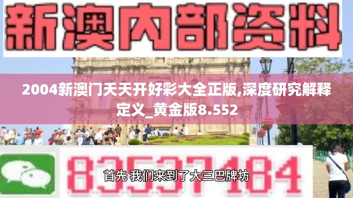 2004新澳门天天开好彩大全正版,深度研究解释定义_黄金版8.552