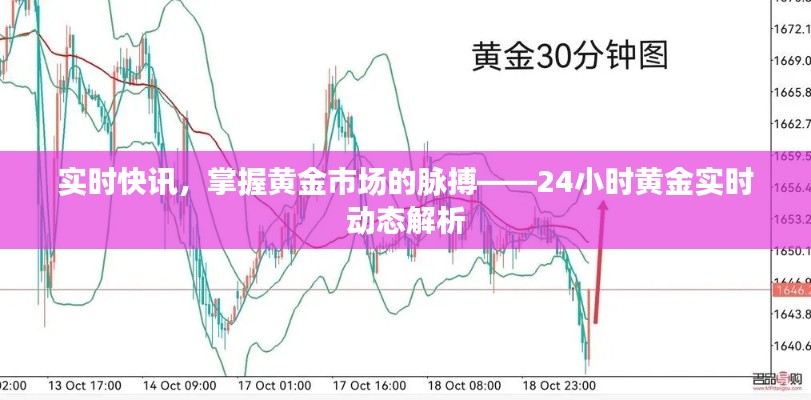 椎髻布衣 第3页