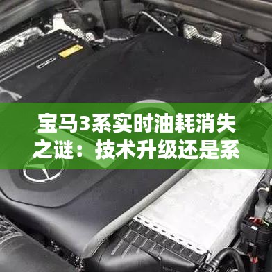 自作主张 第2页