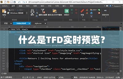什么是TFD实时预览？
