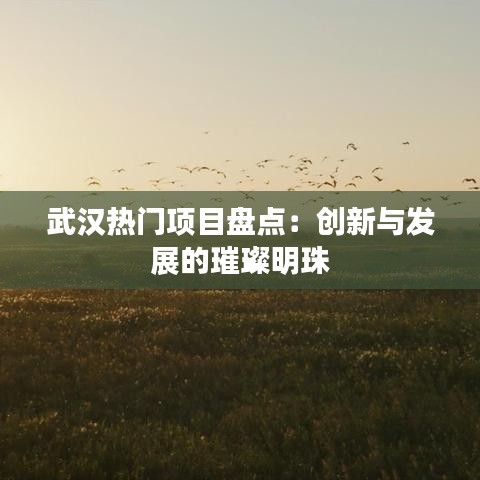 武汉热门项目盘点：创新与发展的璀璨明珠
