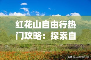 花样新翻 第2页