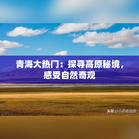 一飞冲天