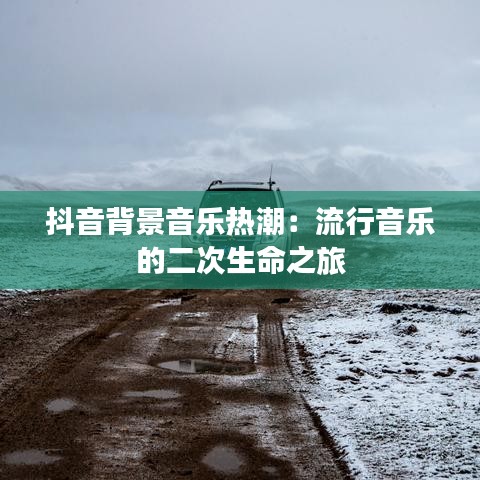 富贵不能淫