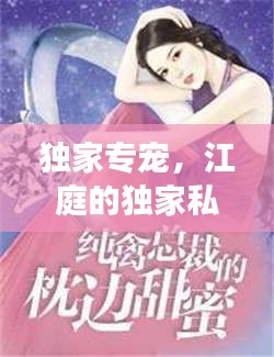 工程案例 第46页